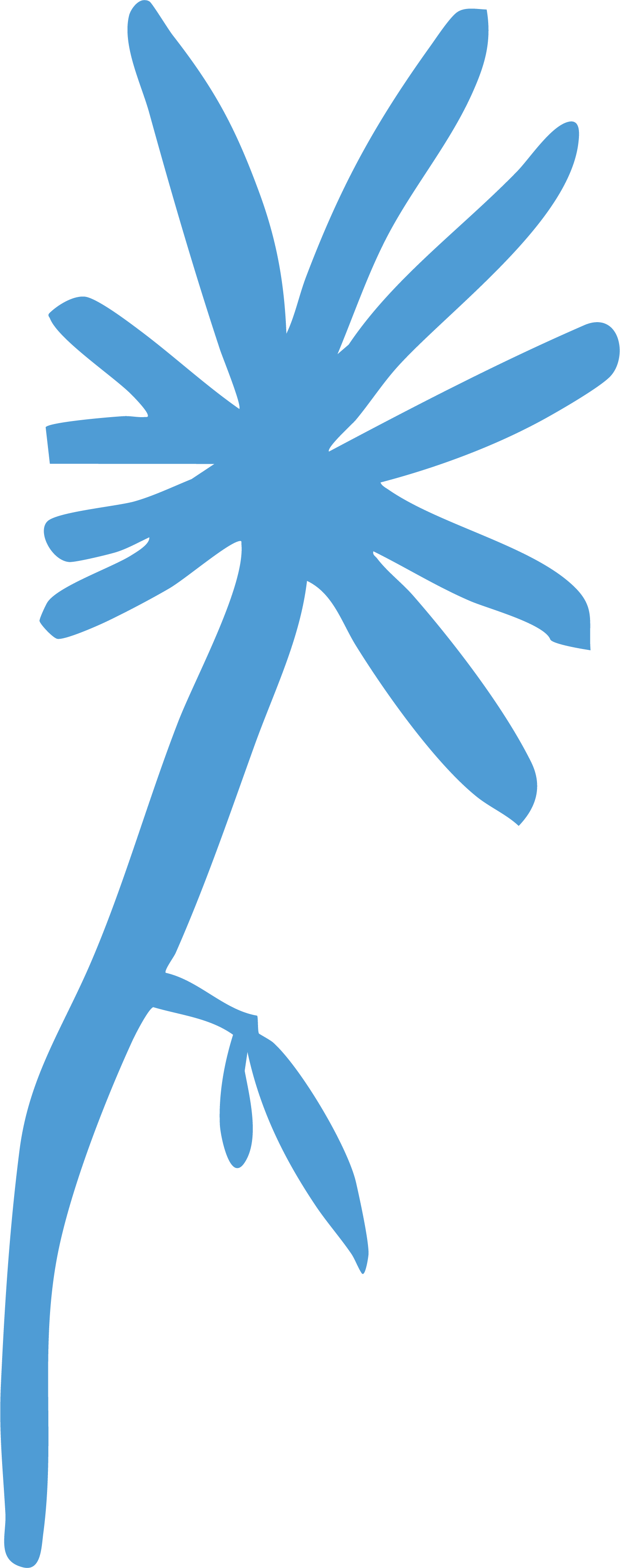 illustration palmtree